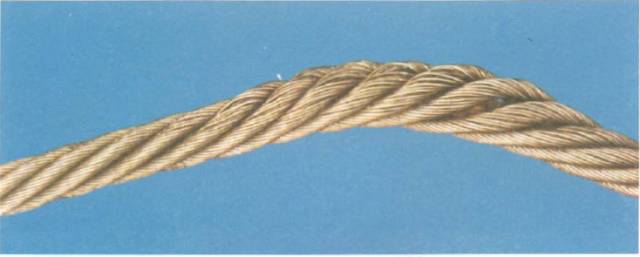 1694006132467595.jpg 5.jpg